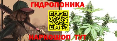 эйфоретик Гусиноозёрск