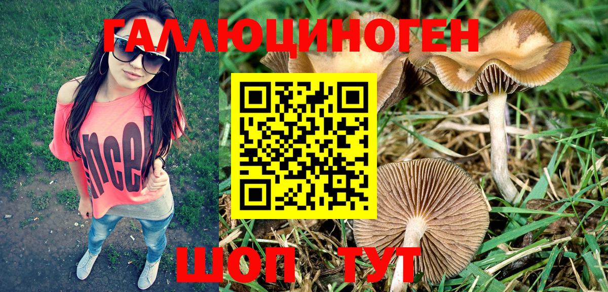 Галлюциногенные грибы Cubensis  Вход с VPN  Малоярославец 